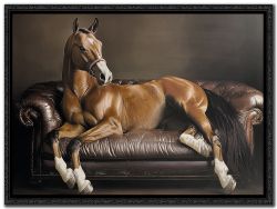 Equine Luxury