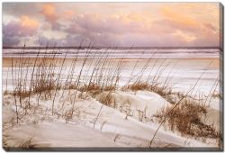 Whispers in the Dunes