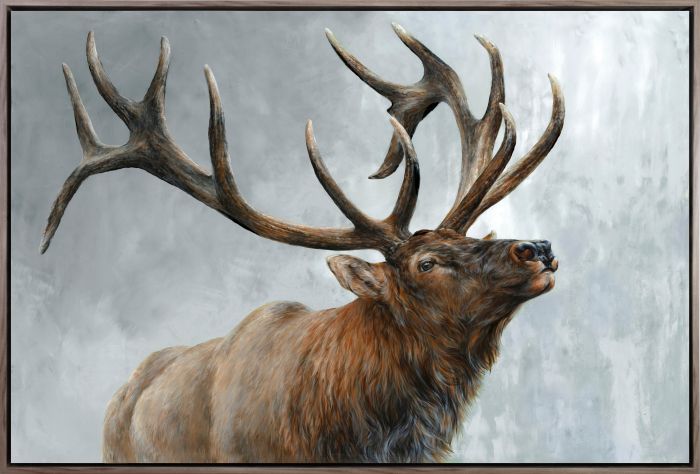Rising Bull Elk