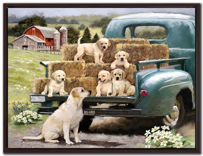 Truck Pups