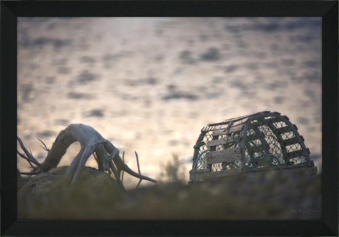 Driftwood Lobster Pot