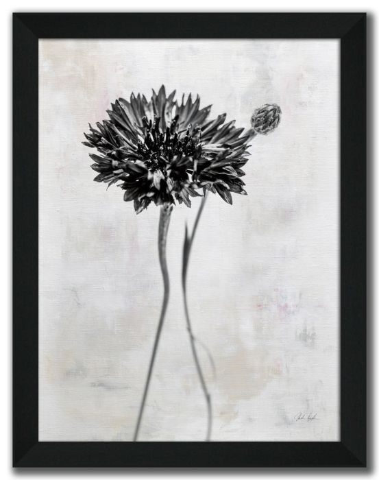 Wonderful Wildflowers VIII Neutral