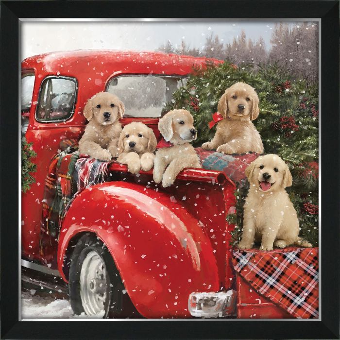 5 Pups In A Truck