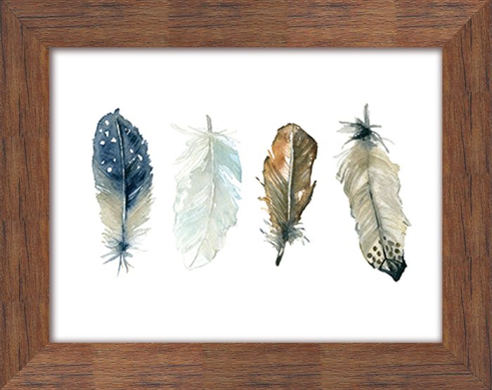 Feather Collection 1
