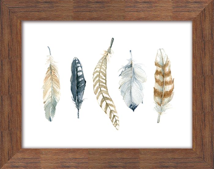 Feather Collection 2