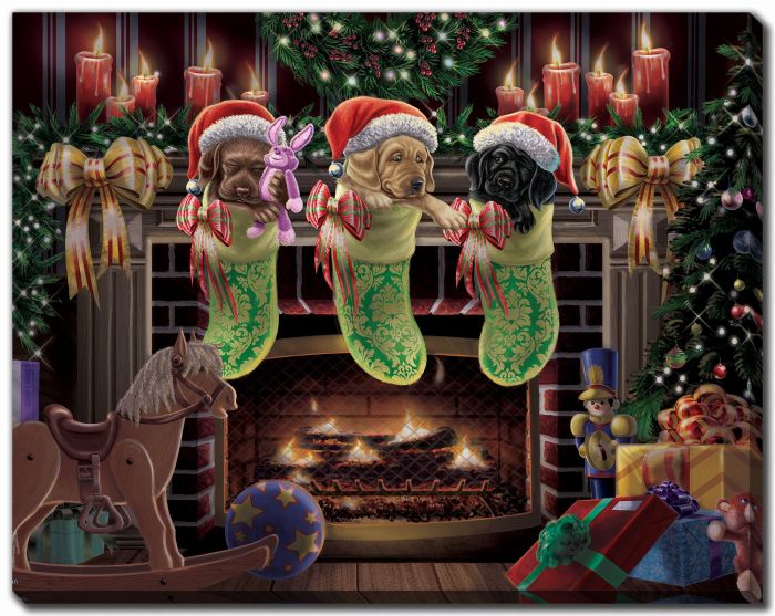 Pups in stocking