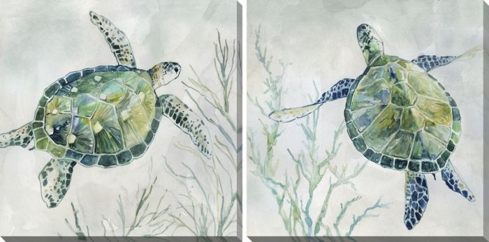 Seagrass Turtle II Set of 2