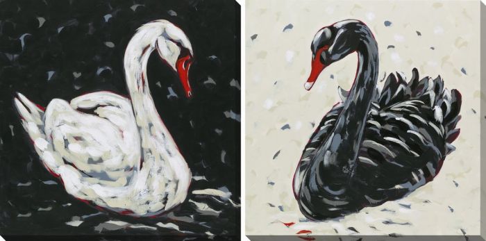 White and Black Swan Set of 2