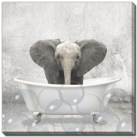 Baby Elephant Bath