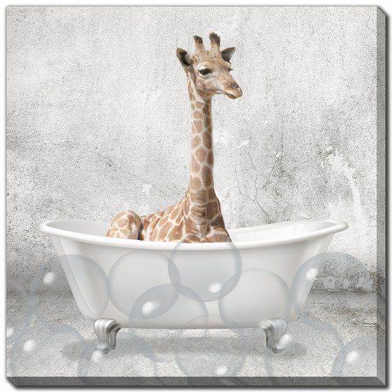 Baby Giraffe Bath