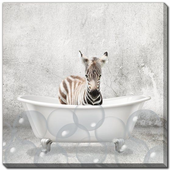 Baby Zebra Bath