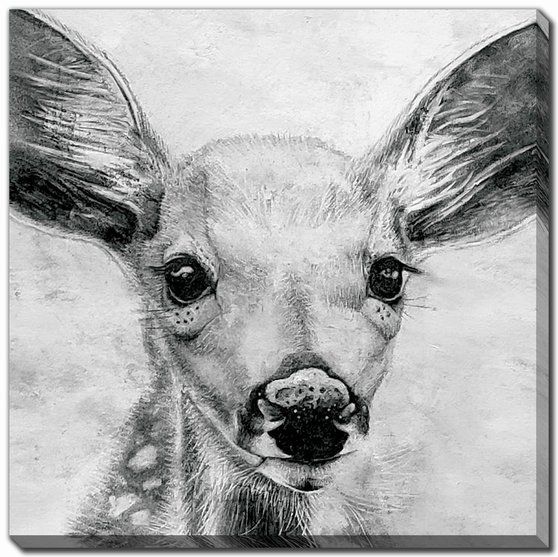Portrait Of A Fawn