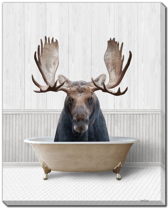 Bath Time Moose