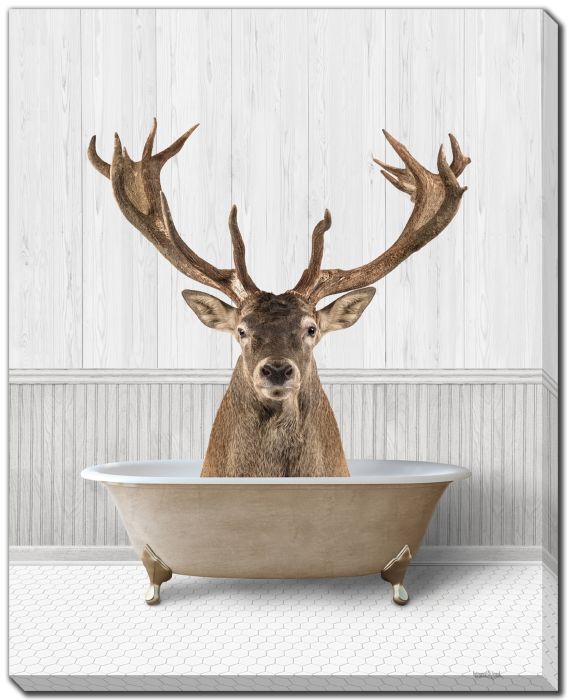 Bath Time Deer