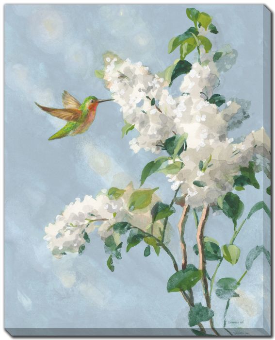 Hummingbird Spring I