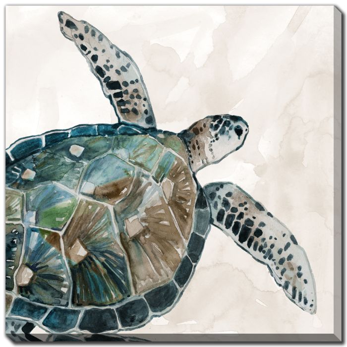 Neutral Sea Turtle I