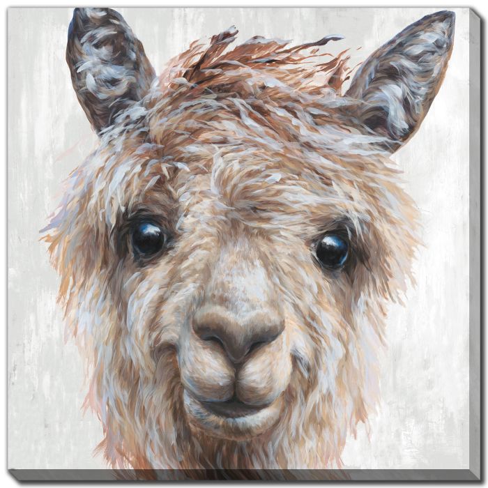 Alpaca II