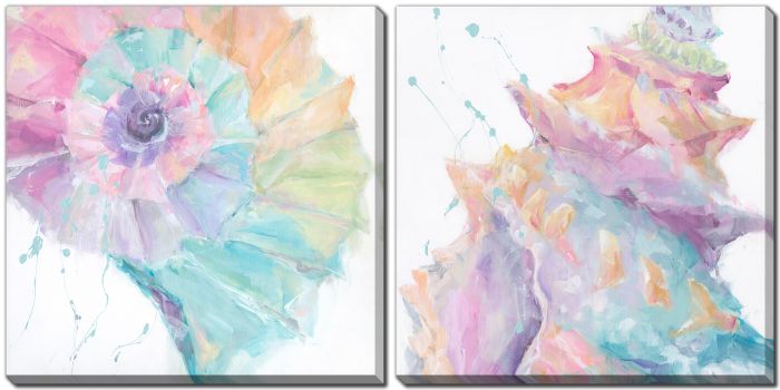 Rainbow Seashell Set of 2