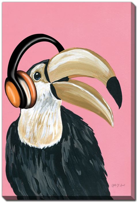 Toucan Groove