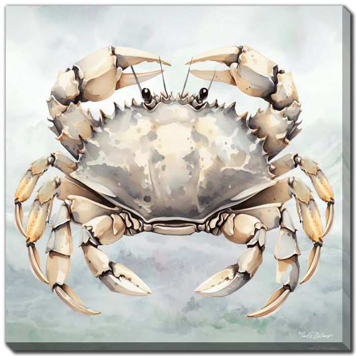Cape Cod Crab