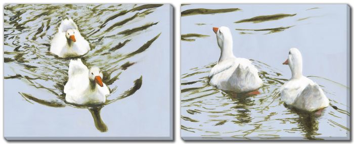 Delicate Ducks Set of 2