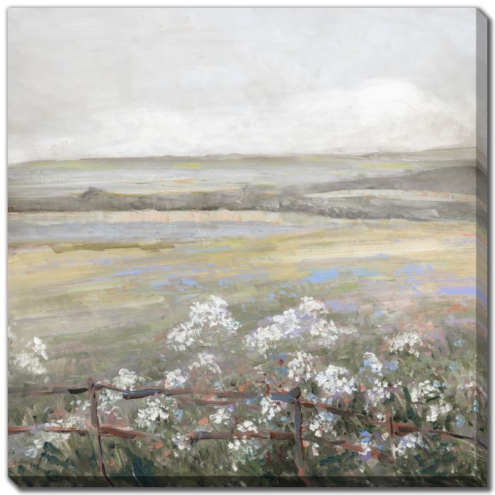 Soft Summer Meadow II
