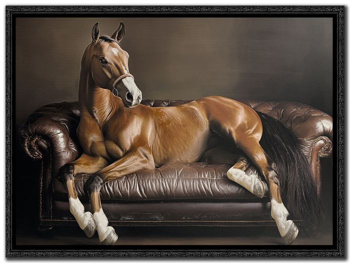Equine Luxury