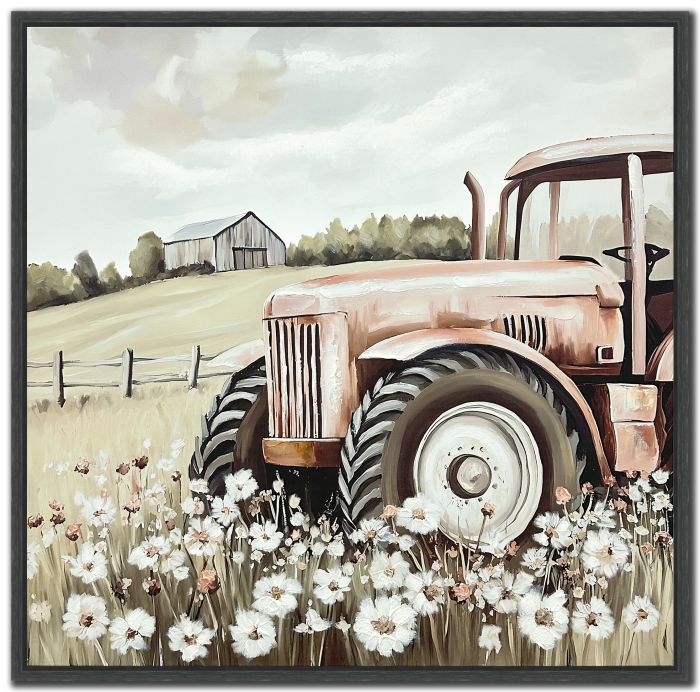 Harvest Dreams