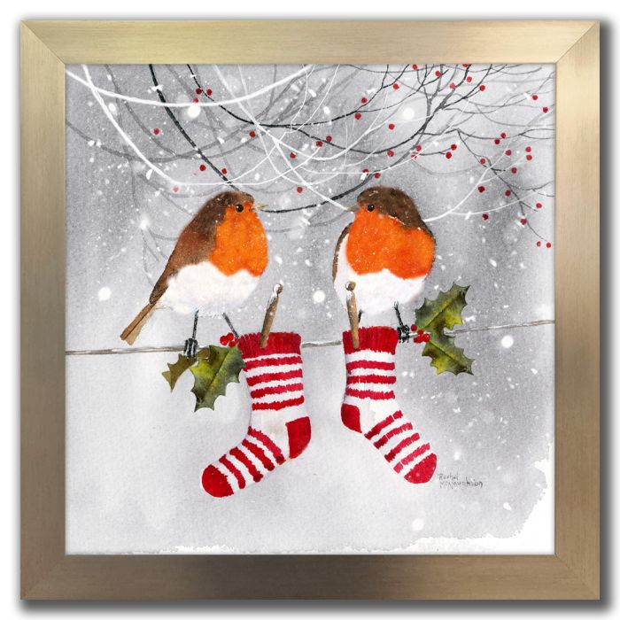 Robin Stockings