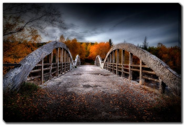 Crumbling Bridge Autumn Birch