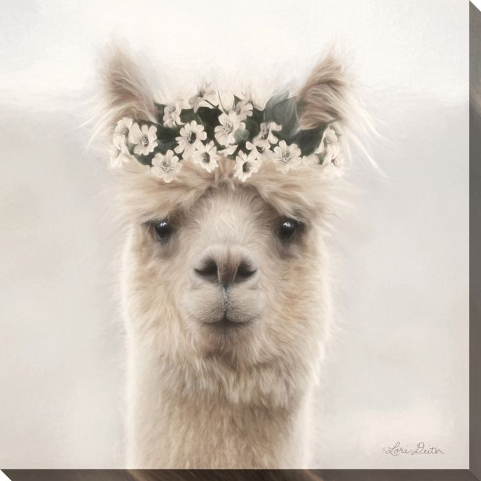 Alpaca with Flowers