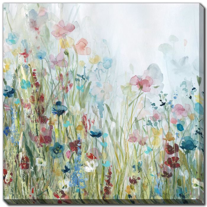 Wildflower Meadow