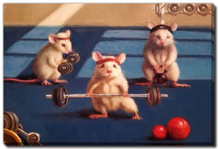 Gym Rats
