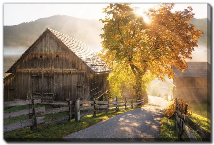 Autumn Road