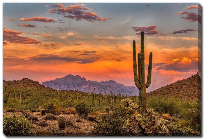 Sunset in the Sonoran 