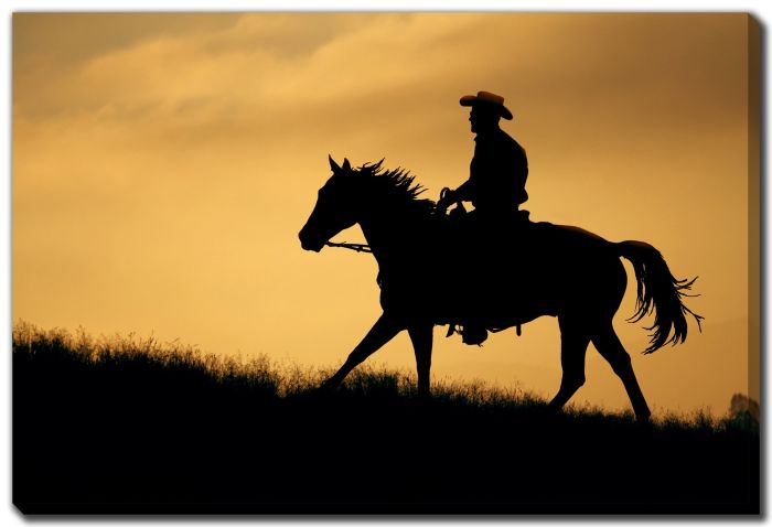 Cowboy Silhouette 