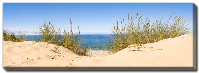 Sand Dunes