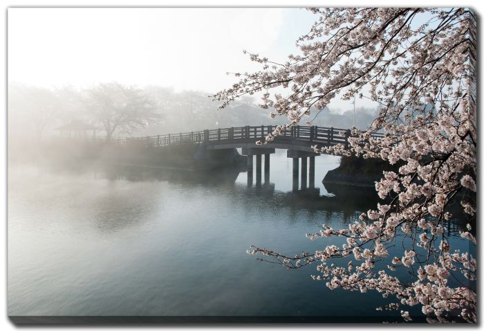 Cherry Tree And Bridge