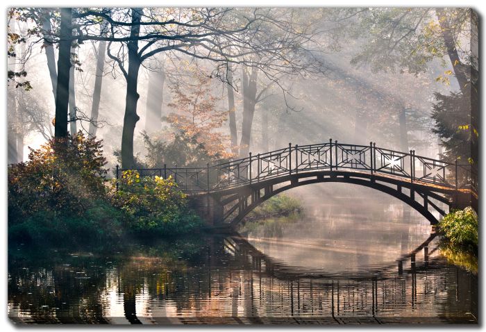 Bridge In Autumn Misty Park