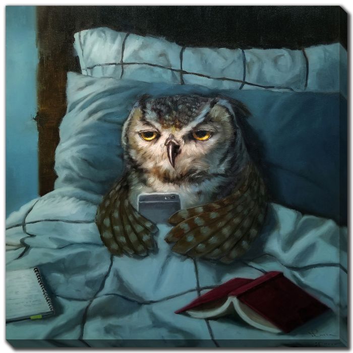 Night Owl
