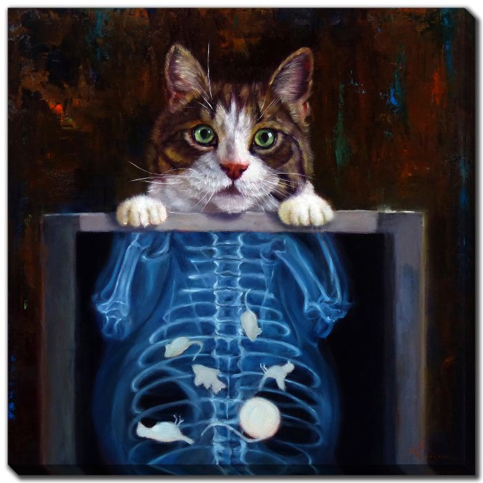 Cat Scan