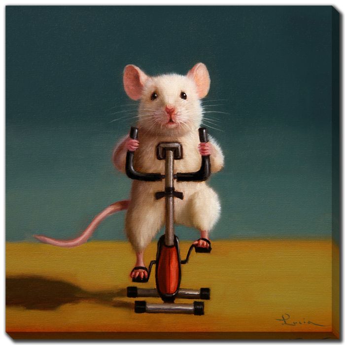 Gym Rat Spin