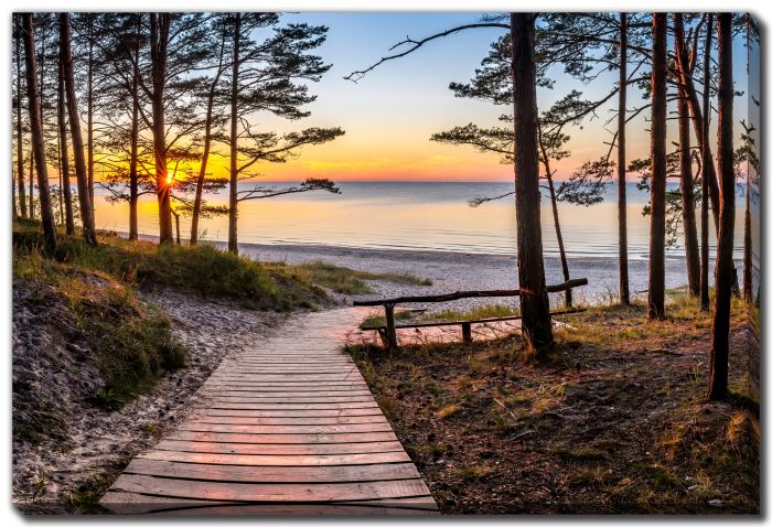 Wooden Footpath