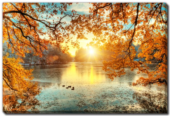 Late Autumn