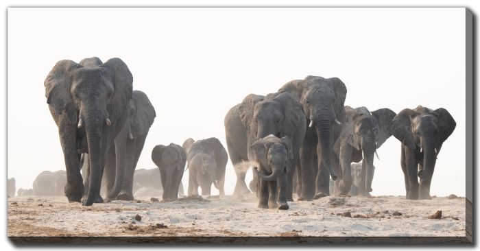 Marching to the River