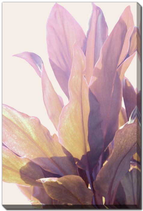 Pink Tropical Leaves II