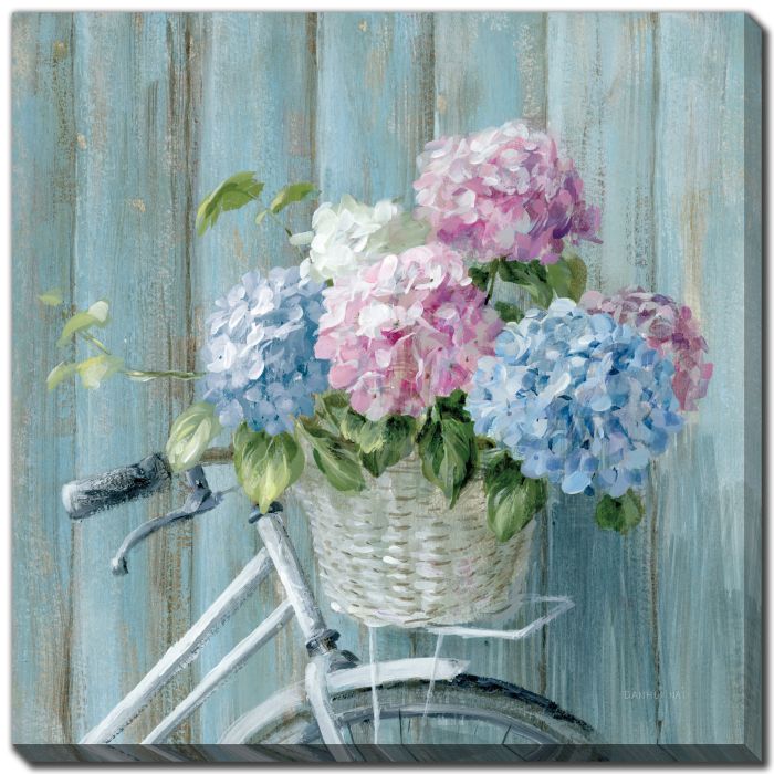 Cape Cod Bicycle