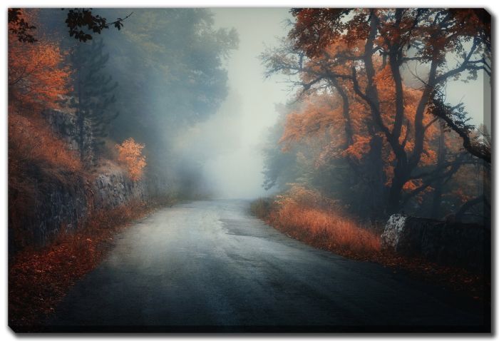 Magical Foggy Forest