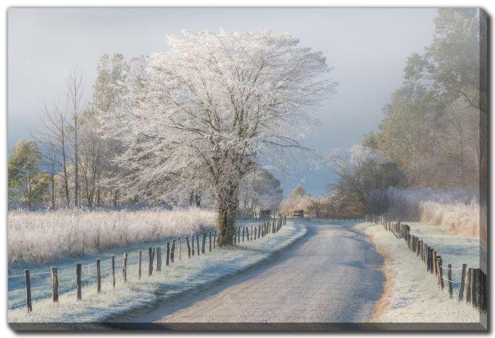 A Frosty Morning