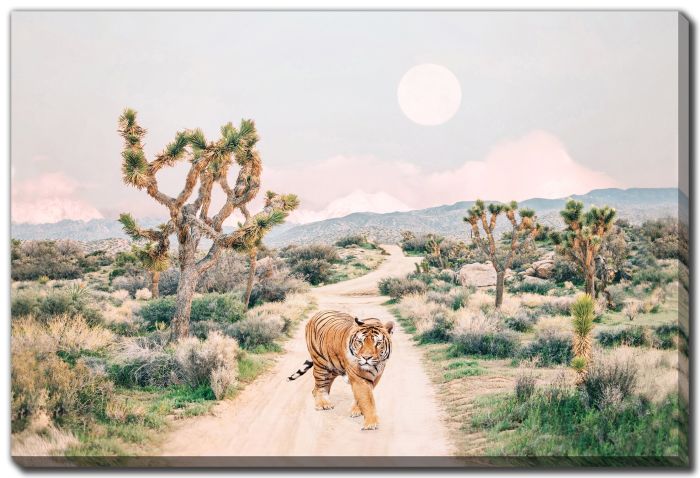 Wandering Tiger